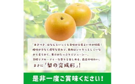 きのみ農園の吉野梨(あきづき) 約3kg 熊本県氷川町産 きのみ農園《8月中旬-9月上旬頃出荷》---sh_ckinoaki_g8_23_14000_3kg---