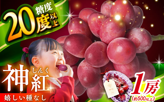【2026年先行予約】【8月初旬頃から順次発送】島根県オリジナル品種「神紅」1房 500g以上 産地直送 種なし葡萄 島根県雲南市/池田ぶどう農園　 [AIAA001]