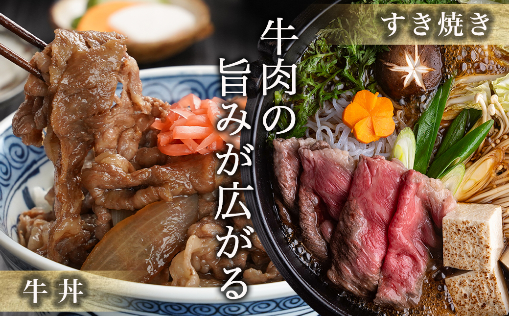 宮崎牛小間切れ500g_14-N301