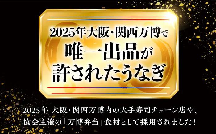 鰻 鰻の蒲焼き2尾セット BLAL001