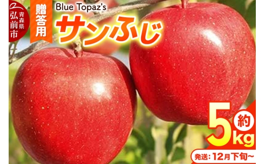 【26年12月下旬～発送】りんご サンふじ【贈答用】約5kg 内のし付き 先行受付 青森県 弘前市 [先行予約 アップル おいしい ふじ りんご 果実 果物 赤色 津軽 糖度 美味 林檎]