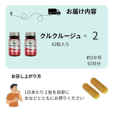 ふるさと納税 川崎市 高吸収型クルクミン　クルクルージュ62粒入り2本 |  | 01