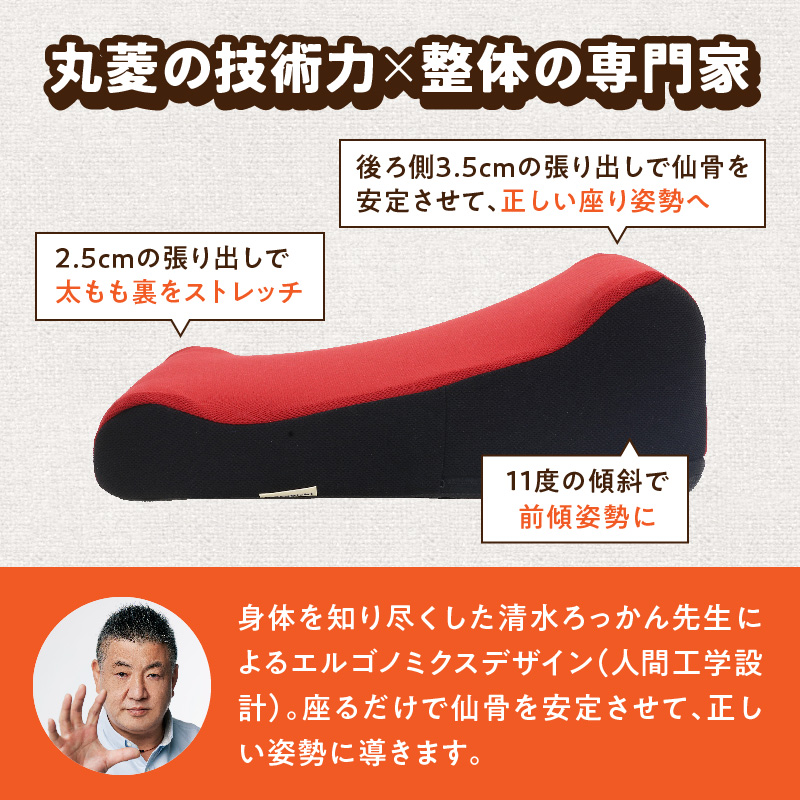 ろっかん式ストレッチクッション ［023M17］ ろっかん式 ストレッチ クッション 選べる カラー 立ち上がり サポート 清水ろっかん先生 エルゴノミクスデザイン ハムストリングス 太もも裏_イメー