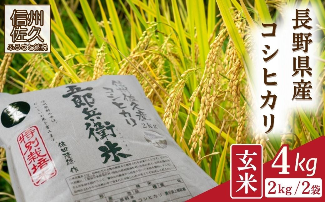 
            【令和7年産・玄米4kg（2kg×2袋）】特別栽培米　五郎兵衛米  〈2025年9月中旬頃～順次発送〉 先行予約　新米　信州　こしひかり【 長野県 佐久市 】
          