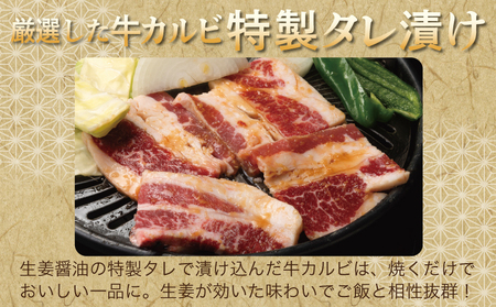牛カルビ 焼肉用 タレ漬け 合計2.5kg【味付け 小分け 焼くだけ 簡単調理 BBQ 牛肉 250g×10袋】