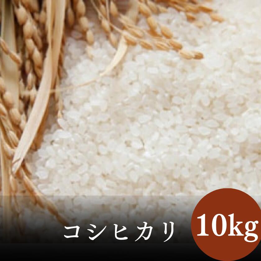 【ふるさと納税】米 コシヒカリ 令和6年産 常陸太田市産 (10kg) | 茨城県 常陸太田市 お米 白米 精米 地元産 コシヒカリ ブランド米 ツヤツヤ もっちり ふっくら 甘み 柔らかい 美味しい ご飯 おむすび お弁当 和食 お取り寄せ プレゼント 贈答 防災 備蓄
