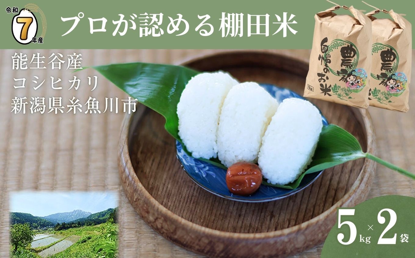 
            【選べる発送時期】令和7年産新米予約 新潟県能生谷産コシヒカリ 5kg×2袋 計10kg プロも認める棚田米 農家直送 2025年産 JATs有限会社【新潟県 糸魚川市 米 お米 こめ コメ ご飯 ライス ふるさと納税米 ブランド米 おすすめ ギフト 10キロ 精米 白米 人気 食品 選べる配送月 先行予約】
          