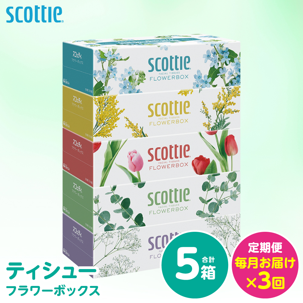 【定期便3回】【毎月お届け】【スコッティ】 ティシュー フラワーボックス 250組 5箱 計15箱 ティッシュ 日用品 生活必需品 消耗品 ストック デザインボックス 生活用品 熊本県 八代市