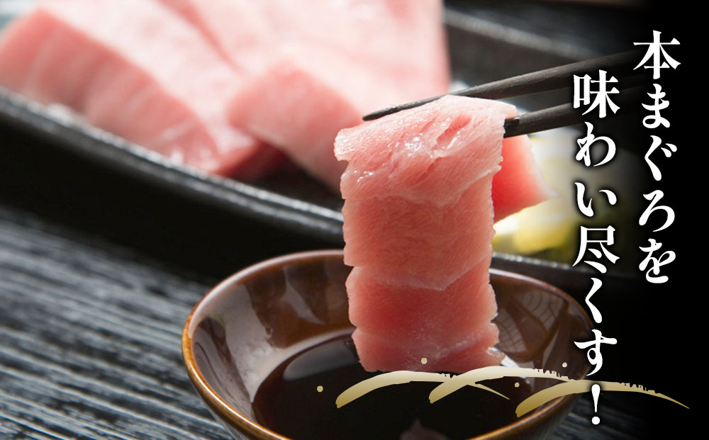 本まぐろ お刺身用 中トロ5人前(800g) 鮪 海鮮丼 刺し身 刺身 盛り合わせ 冷凍 魚の刺身 大分県産 九州産 津久見市 熨斗対応