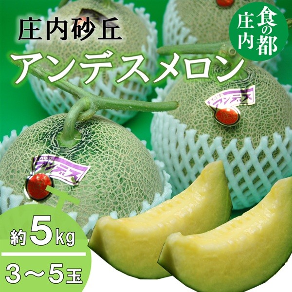 
                  【令和8年産】食の都庄内　庄内のアンデスメロン約5kg（3～5玉） ※2026年7月上旬～8月上旬頃発送
                