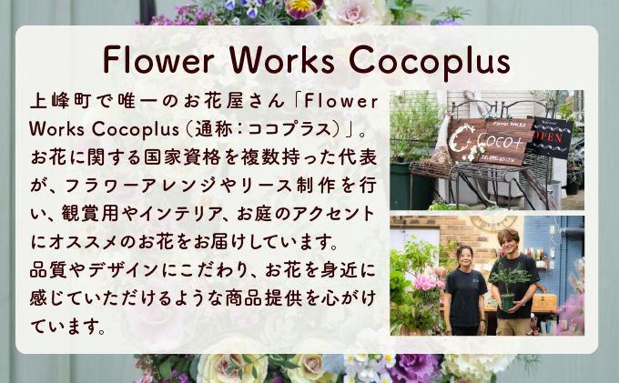 通常便 1回 15~20株!! 季節の寄せ植え 「ブリコラージュフラワー」
