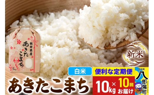 《新米》《定期便10ヶ月》あきたこまち 10kg【白米】 令和8年産 秋田県産 こまちライン [新米 こまちライン あきたこまち ブランド米 お米 白米 精米 無洗米 米どころ 秋田 秋田県産]