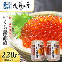 【ふるさと納税】＜佐藤水産＞いくら醤油漬（空港限定）110g×2本 いくら 醤油漬け イクラ イクラ しょうゆ漬 魚卵 海鮮 加工品 魚介類【北海道千歳市】ギフト ふるさと納税