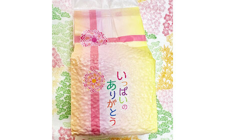 うるち米 900g（300g×3） 大阪府高槻市/高槻ナチュラルファーム[AOEY001]