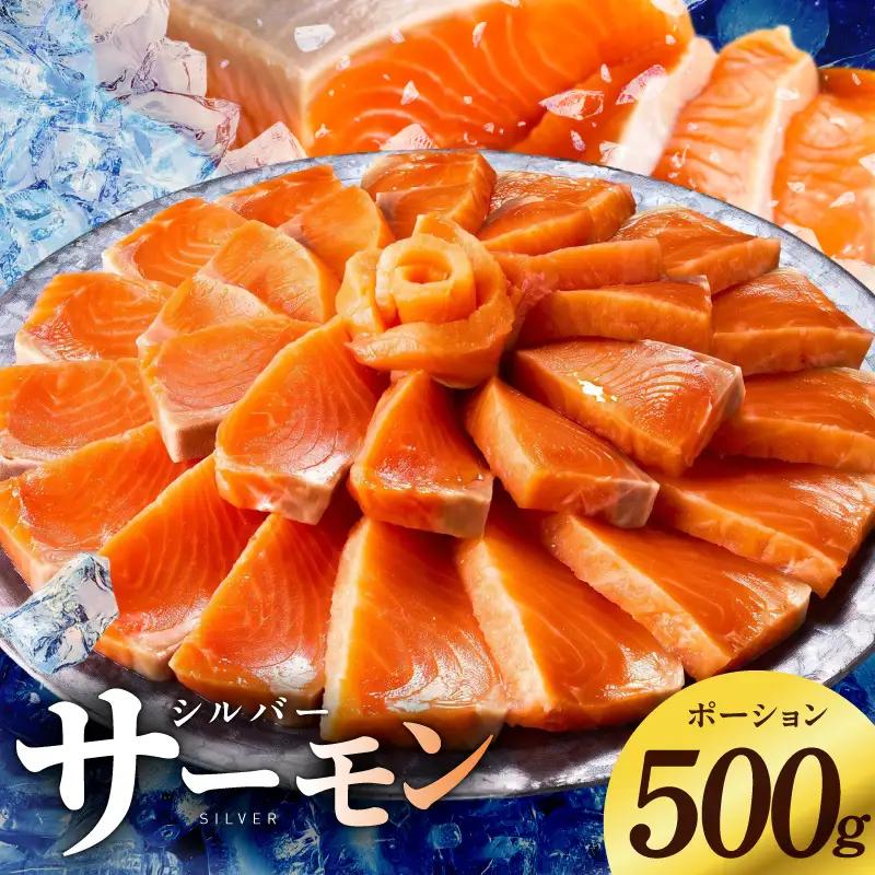 【お試し】サーモン 500g ポーション【訳あり】