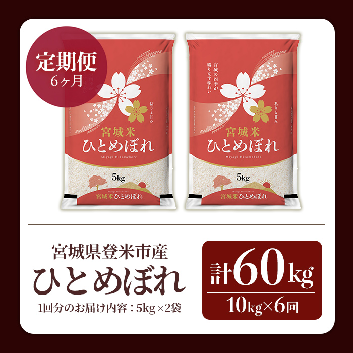 ≪令和7年産≫【6回定期便】ひとめぼれ 計60kg (10kg×6回配送) 登米市産 お米 おこめ 米 コメ 白米 ご飯 ごはん おにぎり お弁当 6か月 頒布会【登米ライスサービス株式会社】tm45