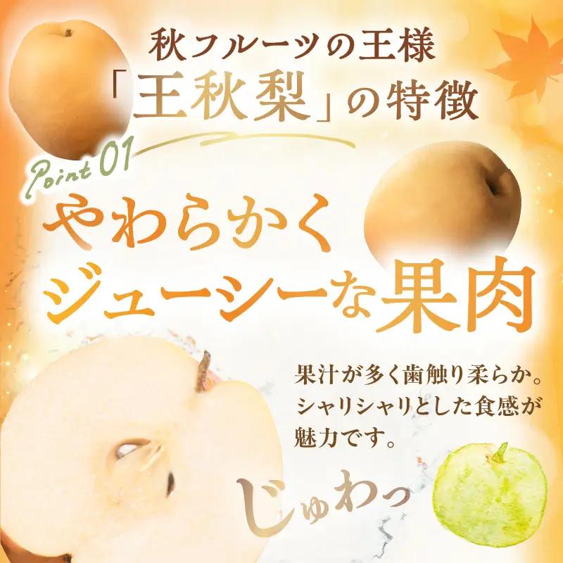 梨／王秋梨【先行予約／数量限定200】農家直送 秋の王様 「王秋」5kg（概ね7玉～12玉）（2026年11月上旬～発送）梨 なし ナシ 王秋梨 5キロ 予約 果物 くだもの フルーツ 期間限定 国産