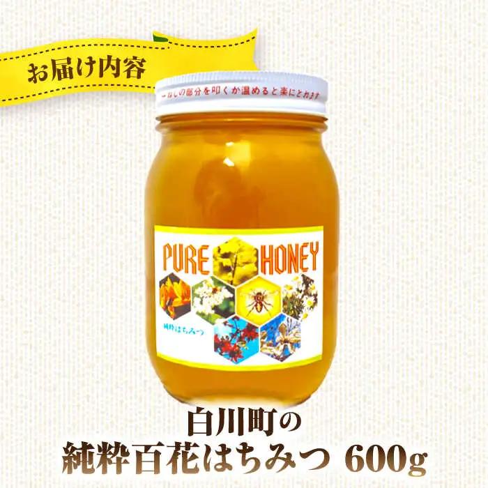 国産百花はちみつ 600g / 白川町農業開発[AWAH007] はちみつ