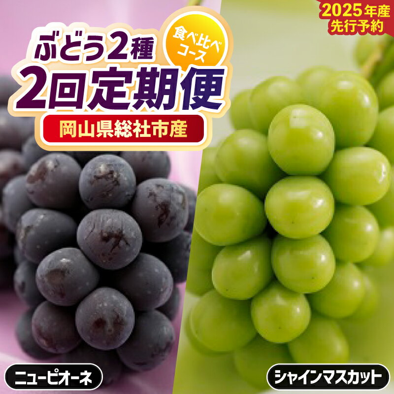 【ふるさと納税】2回定期便 ぶどう シャインマスカット（晴王） ニューピオーネ 食べ比べ 岡山県 総社市産 2025年産先行予約 1房 2kg箱 3～4房 25-042-001