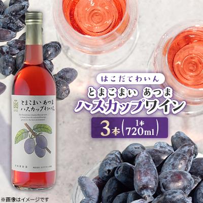ふるさと納税 七飯町 とまこまい あつまハスカップワイン　720ml　3本