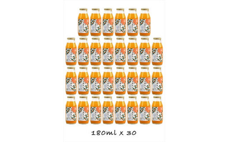 【定期便 （2カ月ごと全4回）】小田原産江之浦みかん１００％ストレートジュース１８０ml３０本【みかんジュース みかんジュース 神奈川県 小田原市 】