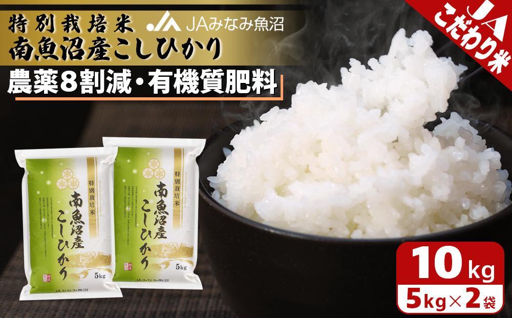 【令和7年産】特別栽培米南魚沼産こしひかり8割減 10kg 精米 ≪農薬8割削減 有機肥料 精米HACCP認定工場 特A獲得日本一産地 高品質精米 もっちり甘い 南魚沼産コシヒカリ 銘柄米 ブランド米 南魚沼産 新潟米 高評価 甘み 国産米 産地米 家庭米 ご飯≫