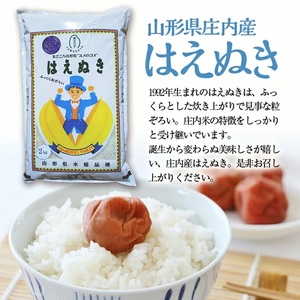 SC0620　【3回定期便】無洗米 はえぬき　2kg×3回(計6kg) SA