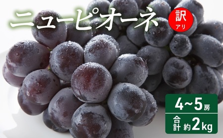 訳あり ぶどう ニューピオーネ 4～5房 合計 約2kg 岡山県 高梁市産 2026年 先行予約 常温 フルーツ 葡萄 ブドウ 種無し 産地直送 大粒 爽やか 食べやすい