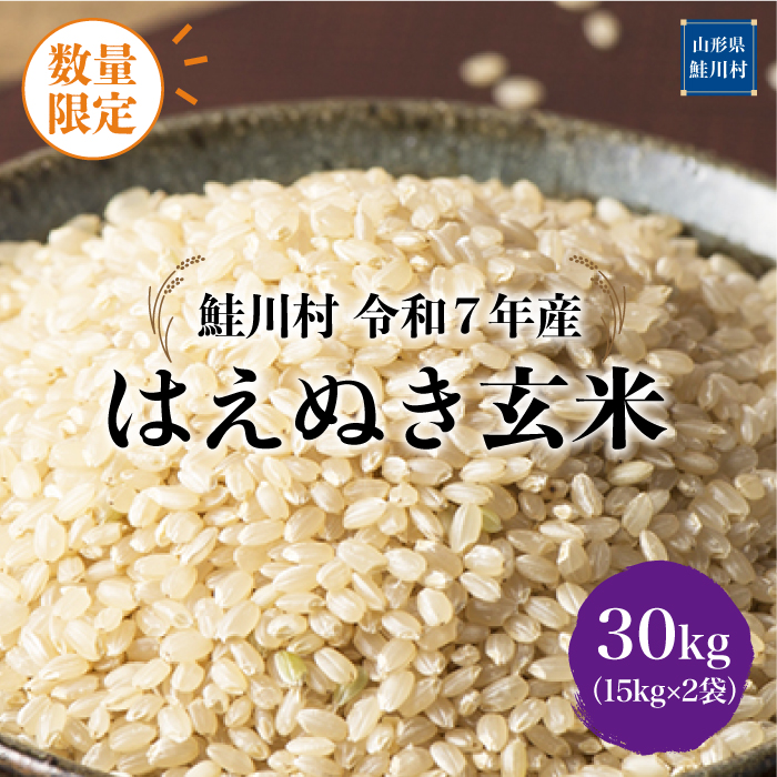 ◇数量限定品◇ ＜令和7年産＞ はえぬき 【玄米】 30kg （15kg×2袋）鮭川村  《配送時期指定可》