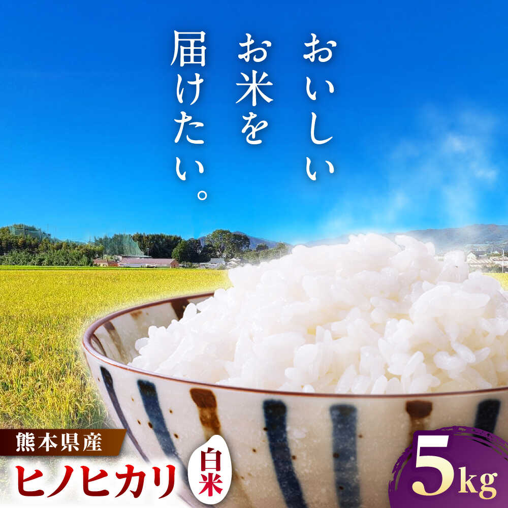 【ふるさと納税】【先行予約】ヒノヒカリ 白米 5kg（5kg×1袋）【株式会社 岩下農園】[ZFS003]