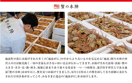 冬の日本海の味　浜茹で【越前がに　極み】11月～翌３月順次発送 [e56-x007]