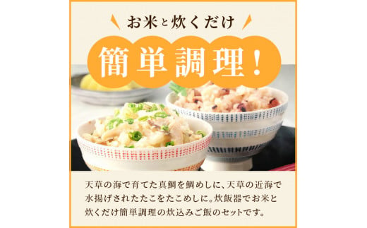 S006-003_お米と炊くだけ簡単！鯛めし2P・たこめし2Pセット
