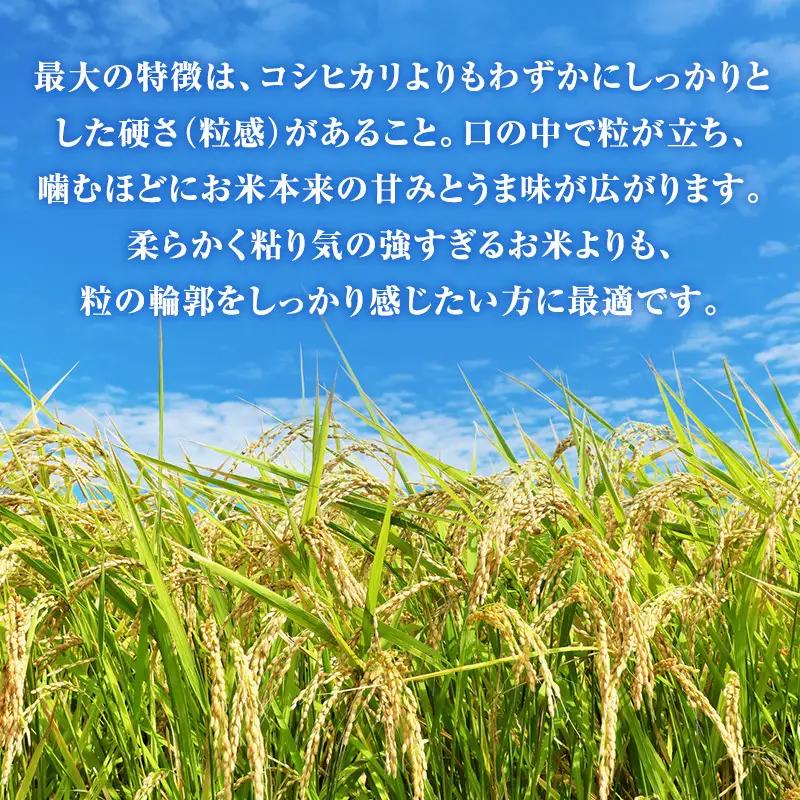 令和8年度産 ほしじるし 5kg 玄米 3ヶ月定期便 米 静岡県 袋井市【離島配送不可】