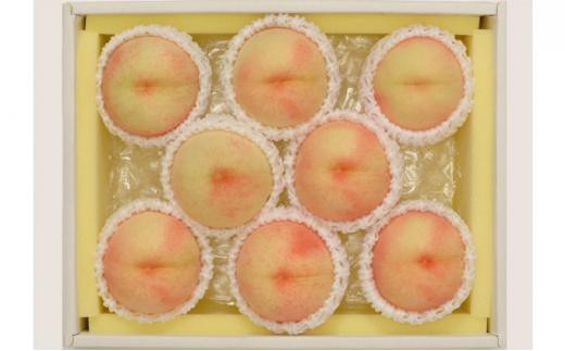 
                  桃 2026年 岡山県産 白桃 約1.8kg 7～9玉 お届け 7月上旬～7月下旬
                