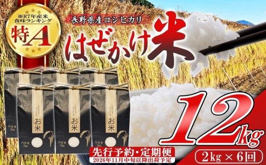 【令和8年産・白米2kg×6ヶ月定期便】長野県産こしひかり はぜかけ米（北海道・沖縄県・離島は配送不可）  【先行予約・2026年11月下旬以降発送】　精米 2026年産 産地直送 信州 長野県 佐久市 美味しい うるち米 先行予約