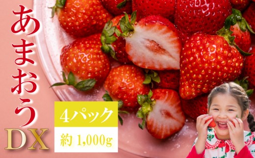 【2027年2、3月発送】先行予約 福岡県産 いちご あまおう  約250g×4P (約1,000g) 冷蔵 小分け いちご 苺 イチゴ フルーツ 果物 スイーツ くだもの 冬 春 旬 福岡 九州 福岡県 川崎町 数量限定 期間限定