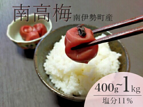 【ふるさと納税】 梅干し 南高梅 大粒 選べる 400g～1kg うす塩 無添加 塩分 11% ふるさと 納税 梅干し うめ 梅 ume 肉厚 手作り 小分け ないぜしぜん村 送料無料 産地直送 三重 伊勢 志摩 10000円以下 一万円以下