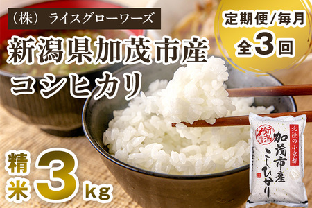 【令和8年産新米先行予約】【定期便3回毎月お届け】新潟県加茂市産コシヒカリ 精米3kg《10月上旬～順次出荷》 白米 （株）ライスグローワーズ