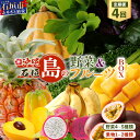 【ふるさと納税】【4回定期便】沖縄県 石垣島の野菜・フルーツBOX ≪野菜4～5種類、フルーツ1~2種類≫（1箱×4回）｜沖縄 石垣島 直送 旬 果物 フルーツ 新鮮 島野菜 野菜セット 詰め合わせ 石垣市 石垣 CK-5