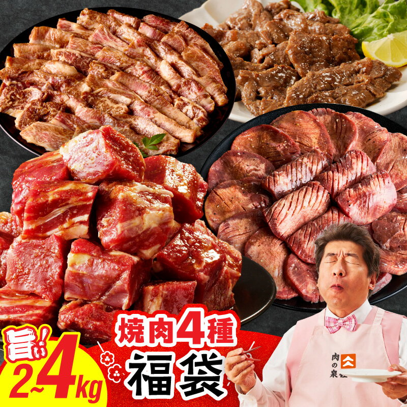 【ふるさと納税】焼肉 福袋 4種 選べる 内容量 2kg / 4kg 氷温熟成×特製ダレ 500g 小分け 牛タン ヒレ ハラミ バラ 数量限定 お取り寄せ 大阪府 泉佐野市 送料無料 氷温熟成牛 牛肉 熟成肉 氷温熟成 作り方 ふるさと納税オリジナル 限定 肉の泉佐野