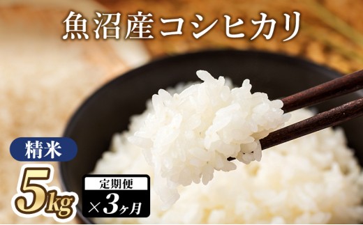 
                  魚沼産コシヒカリ（精米）5kg×3か月 米 こしひかり 定期便 定期 魚沼市
                