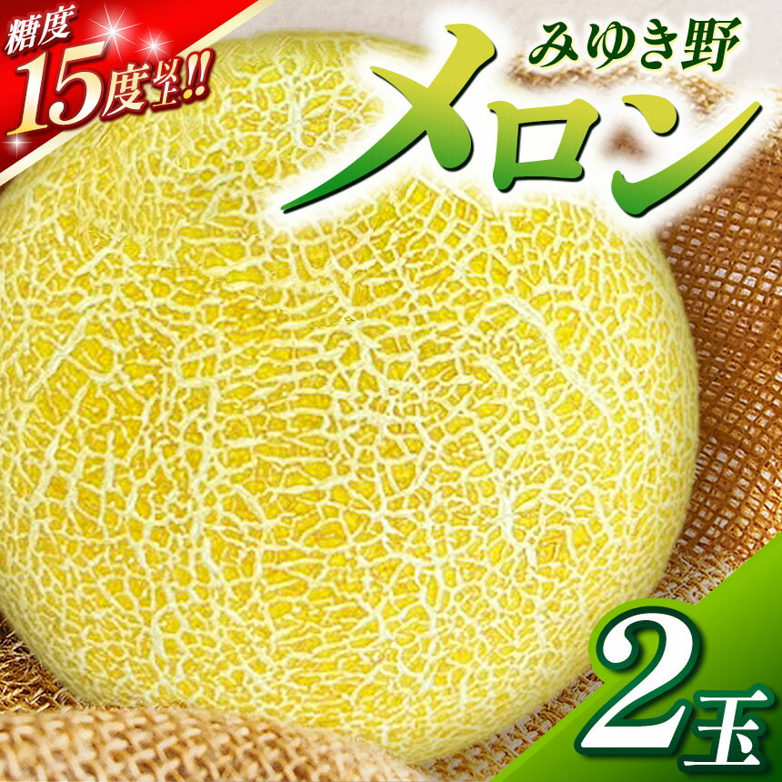 【ふるさと納税】 【2025年先行予約】*みゆき野メロン2玉 | メロン みゆき野メロン 果物 フルーツ fruits メロン めろん 木島平村 長野県 信州 北信州