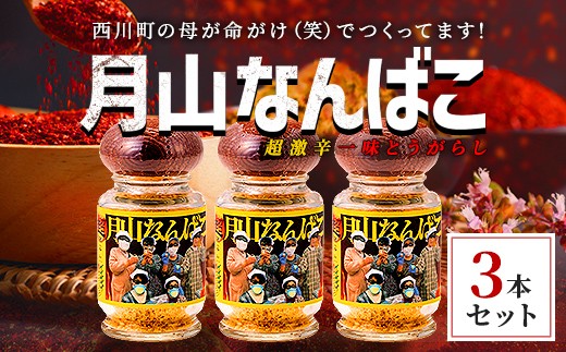 
                   山形県 西川町産 唐辛子使用！ 月山なんばこ 超激辛 3本セット 調味料 食品 香辛料 スパイス 唐辛子 とうがらし 辛い 手作り 命がけ 山形県 西川町 月山 FYN9-733
                