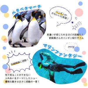 【下田海中水族館】ペア入場券