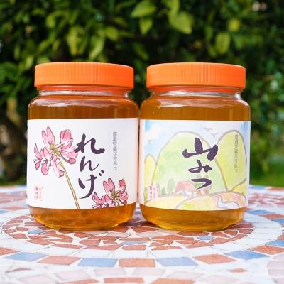 ふるさと納税 小郡市 はちみつ 国産 天然 純はちみつ 各1kg れんげ&amp;やまみつ[No5354-0298]