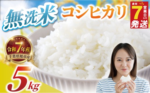 ＼最短7営業日以内発送／ コシヒカリ 無洗米 5kg 令和7年産 精米 白米 米 2025 7年産 R7米 R7 令和7年産米 お米 ご飯 無洗 こめ コメ kome ごはん ライス こしひかり 家庭用 備蓄 防災 送料無料 国産 千葉県産 千葉 千葉県 旭市 BANJYO farm bnj001