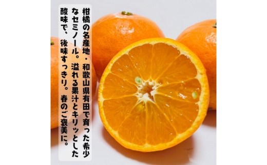 【特撰】セミノール 2kg ｜ みかん 高級 くだもの 晩柑 柑橘 和歌山