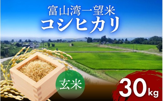 【先行予約】令和8年産 富山湾一望米　コシヒカリ 玄米 【容量30kg】[F-051001] 農家直送 米 定期便 選べる 玄米 富山県滑川産お米 産地直送 袋 ブランド米 お米 白米 こしひかり