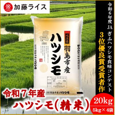 ふるさと納税 羽島市 令和7年産 岐阜県羽島市産ハツシモ 精米20kg(5kg×4袋)