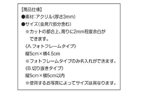 【トイプードル ピンク】愛犬手帳 182×128 1冊 ペット 犬 いぬ イヌ 愛犬 愛犬健康手帳 犬用母子手帳 犬手帳 プロフィール 健康手帳 成長手帳 ノート 手帳 手記 オリジナル アクリルキー